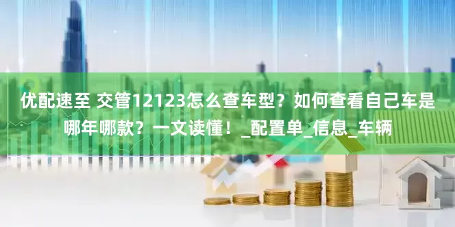 优配速至 交管12123怎么查车型？如何查看自己车是哪年哪款？一文读懂！_配置单_信息_车辆
