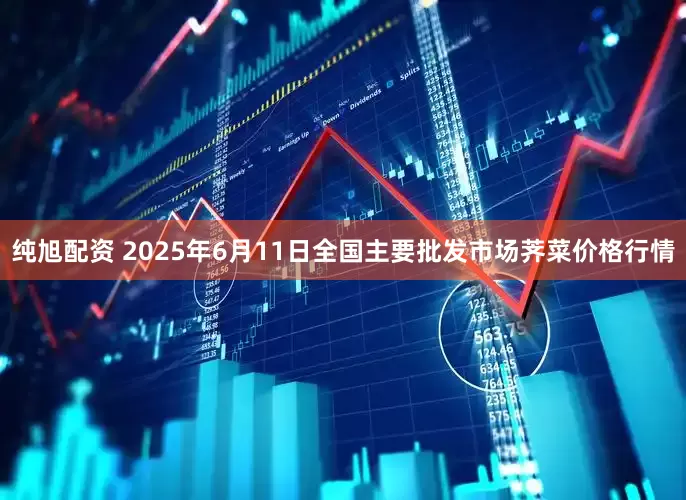 纯旭配资 2025年6月11日全国主要批发市场荠菜价格行情