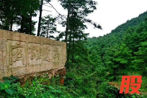 1822年 一只被长矛贯穿颈部的白鹳出现在德国