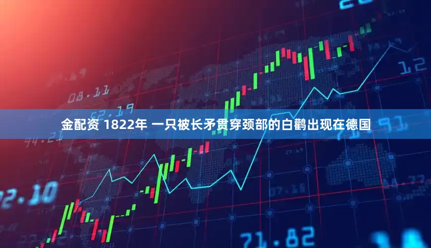 金配资 1822年 一只被长矛贯穿颈部的白鹳出现在德国